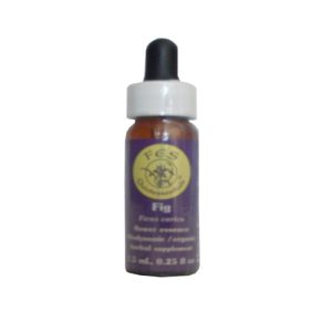 Fig  – 7.5 ML – Research Essences