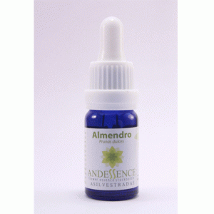 Almendro – 10 ML