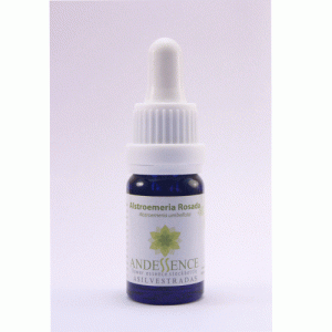Alstroemeria Rosada – 10 ML
