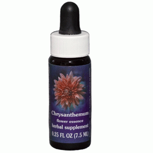 Chrysanthemum  – 7.5 ML – FES