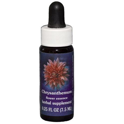 Chrysanthemum – 7.5 ML – FES