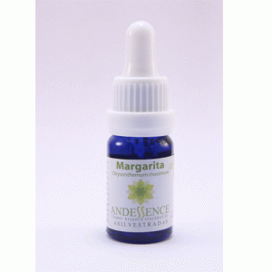 Margarita – 10 ML