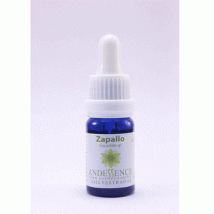 Zapallo – 10 ML